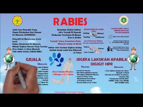 , title : 'Kenali Gejalanya, Cegah Secepatnya | RABIES | WORLD RABIES DAY'