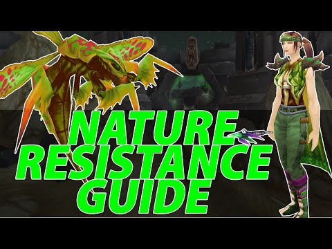 NATURE RESISTANCE GUIDE for Mage, Warlock, Priest, and Healers | AQ40 Preparation | Classic WoW