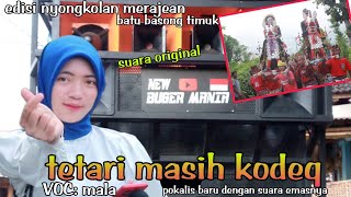 Download lagu Sasak tetari versi kecimol new buger mania // edisi nyongkolan mp3