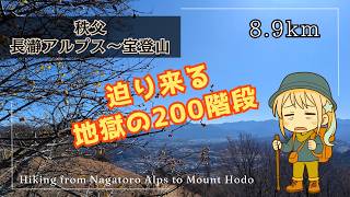 【秩父ぷち登山】長瀞アルプス～宝登山へ登ってみた【VOICEVOX実況】
