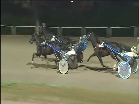 Trotto 03/12/2017 - 5ª corsa