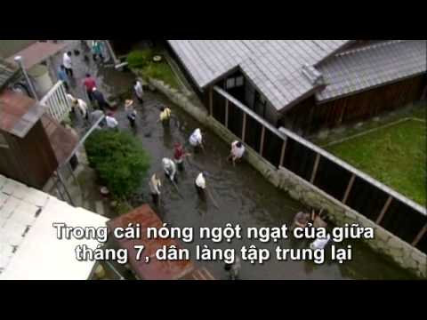 Satoyama - Japan's Secret Watergarden