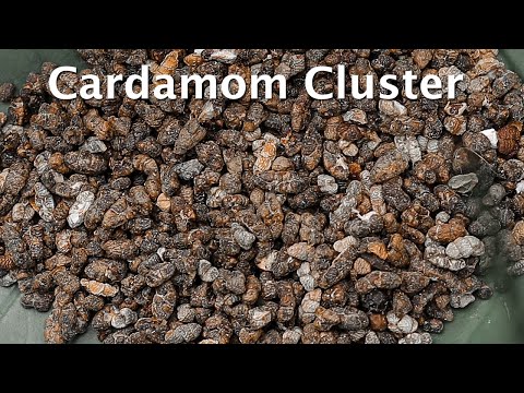 Green cardamom seed -cluster, pp bag, packaging size: 50 kg