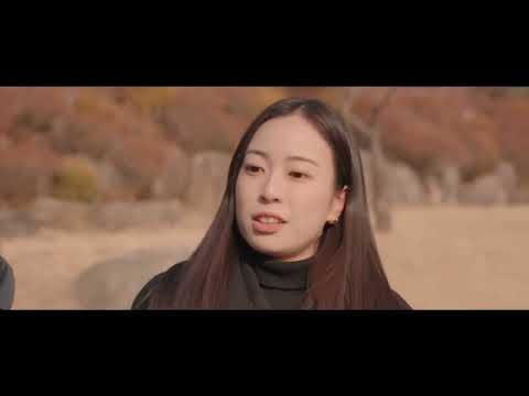 비디오 6