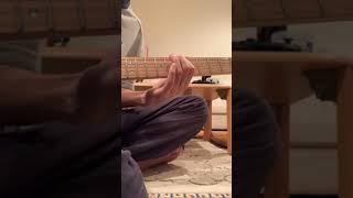 ソルベがRichie Kotzenモデルのギター弾いてみたよ