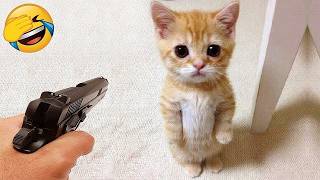 You Laugh You Lose😜Funniest Dogs and Cats Videos 2026😼🐶