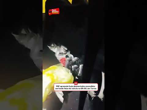 PRF apreende fuzis desmontados escondidos em fundo falso de veículo na BR-101, em Torres