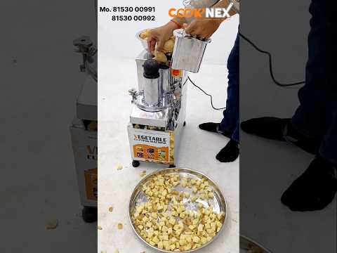 1 HP SS Deluxe Vegetable Cutting Machine