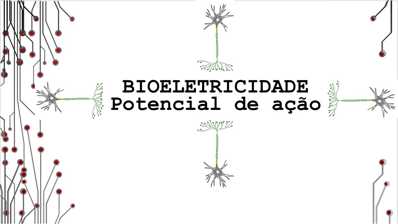 Bioeletricidade   Potencial de ação (1- 2)