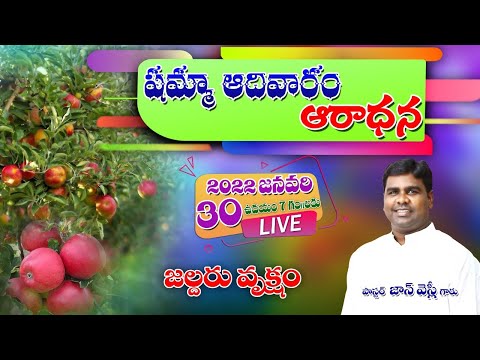 30/01/2022  - షమ్మా ఆదివారం ఆరాధన ..జల్దరువృక్షం.. Pas. JOHN WESLY Garu . Amalapuram.