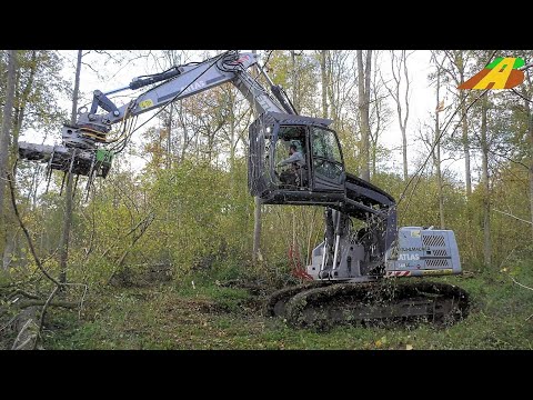 Waldpflege - Raupenbagger & Greifersäge Durchforstung, Baumfällung, tree cutting forest machines