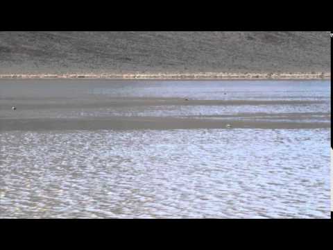 'Sailing Stones' of Death Valley Seen in Action | Video