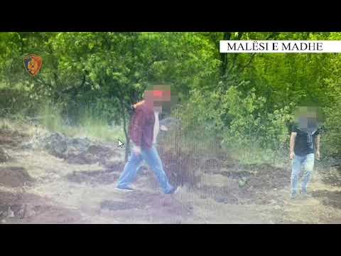 Malësi e Madhe/Shkodër - Finalizohet operacioni policor i koduar "ZOOM"