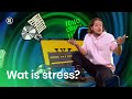 Wat is stress?