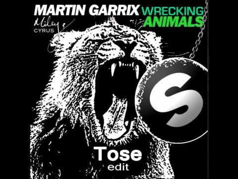Martin Garrix vs Miley Cyrus - Wrecking Animals (Tose MashUp)