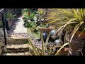Garden Of Ros Welch Flint Street