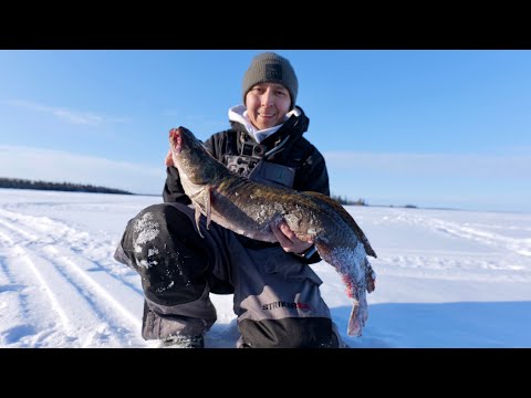 One BIG burbot! (Fishing multiple locations)