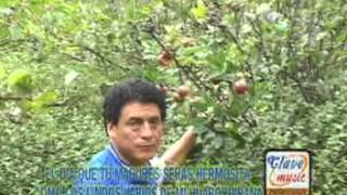 GENIALES PUMITA ANDY MANZANITA VERDE tochimusical