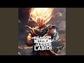 Dragon Ball Z