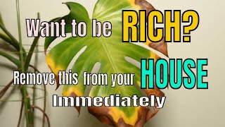 Unlucky Things In Your House That Bring Poverty Remove Them Immediately If You Want to Be Rich Vastu