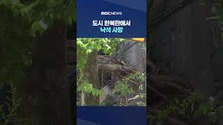 도시 한복판에서 낙석 사망‥'5m 안전불감증'이 결국 #Shorts (MBC뉴스)