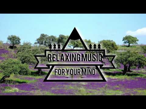 20 Minutes Relax Ambient Music | Wonderful Playlist Lounge Chillout | New Age