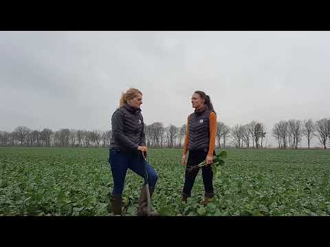 KWS Mais on Tour – Susanna trifft Gesche Beerbaum