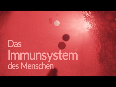 Human immune system - structure and function (animation)
