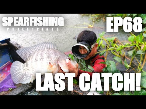 Fishing Philippines : EP68 - HULING, HULI! #spearfishingphilippines #spearfishingcatchandcook #catch