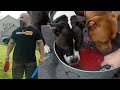 Day In The Life - Guy Cisternino