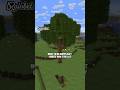 How To Always Get Large Oak Trees in Minecraft?