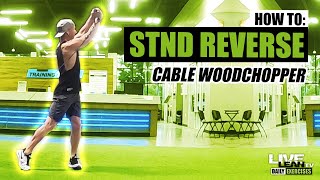 STANDING CABLE REVERSE WOODCHOPPER exercise video thumbnail