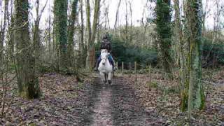 preview picture of video 'Bestwood Country Park'