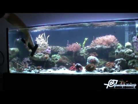 comment installer aquarium eau de mer