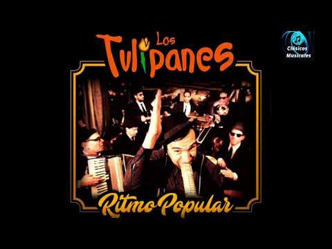 Los Tulipanes - porque en el cielo no hay vino y cerveza (audio oficial)