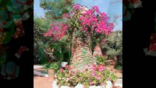 Video Strakonický festival