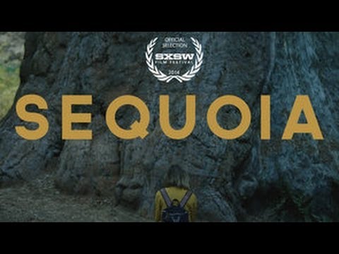 Sequoia (Trailer)