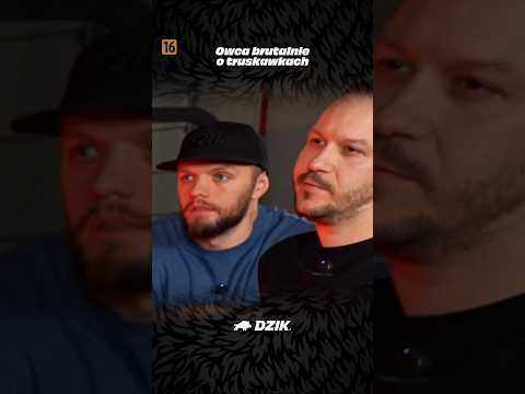 Owca ostro o truskawkach