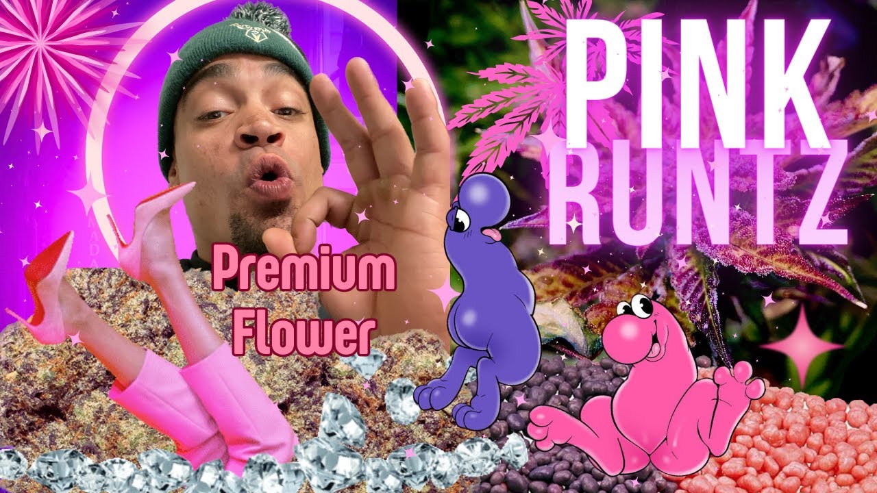 Discovering The Ultimate Pink Runtz Strain - Testing Over 22%THC!