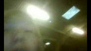 Weird and wonderful creatures