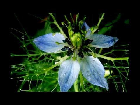 Marcin Kindla feat  Piotr Kupicha   Nie trać wiary