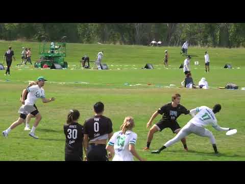 James Pollard Flick Blade on a Platter - 2025 Throw of the Year Nominee