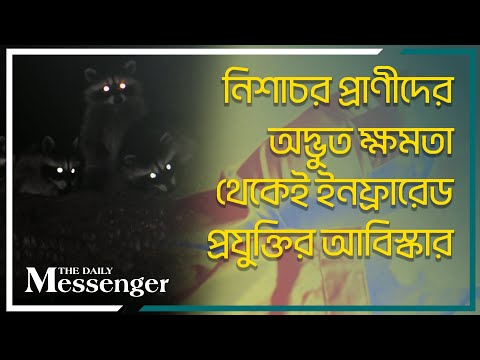 নিশাচর প্রাণীদের অদ্ভুত ক্ষমতা থেকেই ইনফ্রারেড প্রযুক্তির আবিস্কার