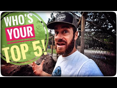 TOP 5 Most Popular Reptiles at the Kamp!