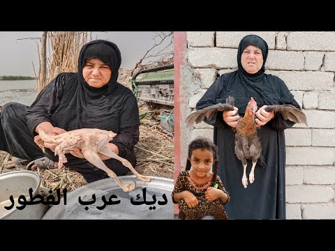 , title : 'سوت الحجية ديك عرب الفطور مع سفره رمضانيه متكونة من خيرات الله'