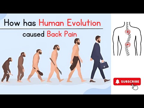 How has Human Evolution caused Back Pain | Dr. Ajay Kothari