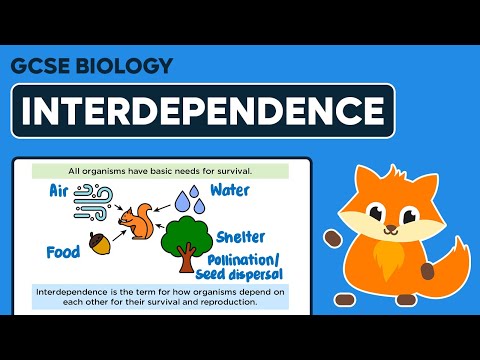 Interdependence - GCSE Biology