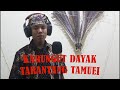 KARUNGUT DAYAK TARANTANG TAMUEI