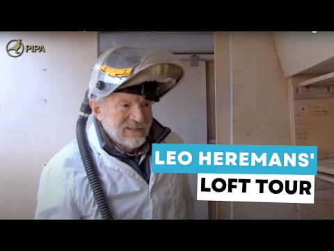 Leo Heremans (Vorselaar, BE) guides us around his lofts
