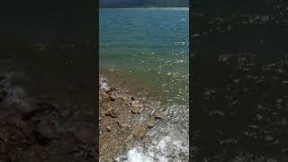 preview picture of video 'Explorer Tours jeeptour-ge.com. Shaori reservoir, Racha, Georgia.'